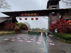 -泗洪洪泽湖湿地景区