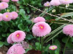 -上海滨江森林公园