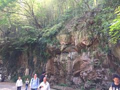 -上海佘山国家森林公园西佘山园