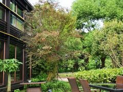 -荷风细雨·中国茶宴(碧云店)