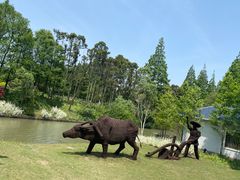 -上海长兴岛郊野公园