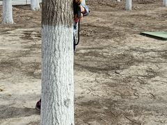 -亲兄弟真人CS团建拓展基地