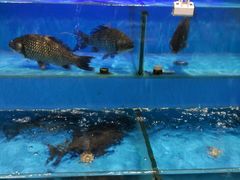 -盒马鲜生(189购物中心店)