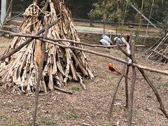 -杭州野生动物世界