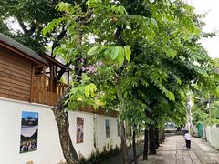 -三溪村