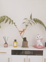 -WENDY·温迪皮肤管理