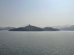 -望湖烤鱼