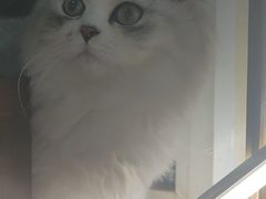 -宠颐生宠物医院·骨外科·犬猫全科诊疗中心(池州店)