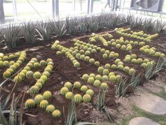 -上海多利农业发展有限公司