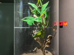 -中国湿地博物馆