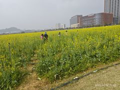-光明小镇欢乐田园