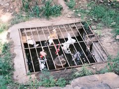 -北京西山国家森林公园