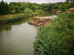 -上海长兴岛郊野公园