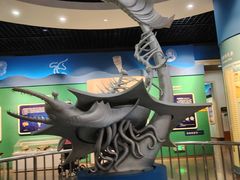 -国家自然博物馆