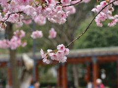 -静安雕塑公园