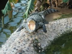 android_upload_pic-石家庄市动物园