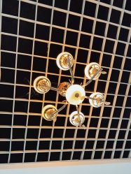 -蕾特恩专业祛痘国际连锁