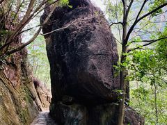 -泽雅七瀑涧景区