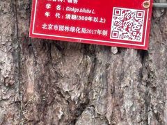 -承恩寺