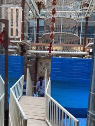 -PIPIKINGDOM皮皮王国欢乐号(欢乐海岸购物中心店)