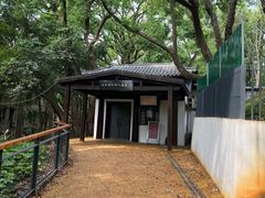 -马王堆汉墓遗址
