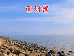 -深圳湾公园(南山区)