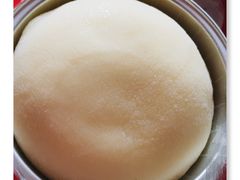 -Mnemosyne尼莫西妮(香港城店)