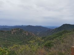 -大岭沟猕猴桃谷风景区