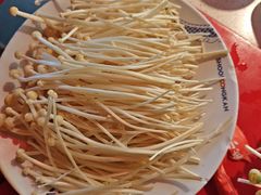 -小龙坎火锅(全球旗舰店)