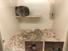 -龙猫仔乐园(惠福东路店)