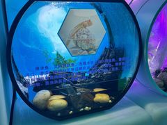 -海合安青岛极地海洋公园