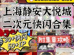 -上海静安大悦城