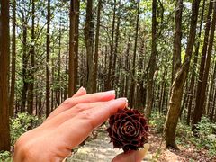 -罗田薄刀峰风景区
