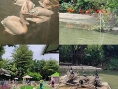 -广州长隆飞鸟乐园
