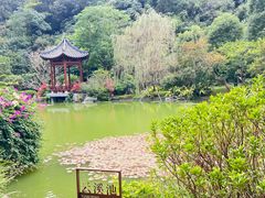 -云溪植物园