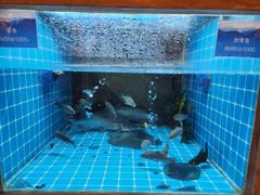 -香宫中餐厅 · 桂林香格里拉
