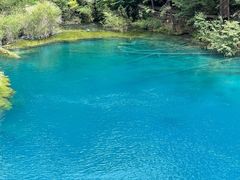 -乡土特色.冷锅鱼.牦牛肉汤锅