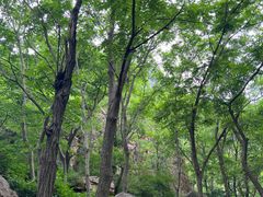 -京东石林峡风景区