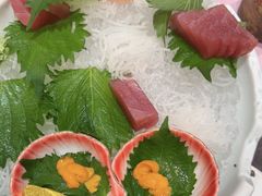 -黑松白鹿(金融街店)