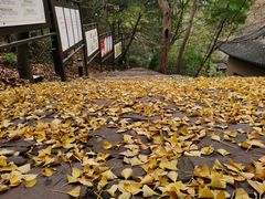 -雨花胜境