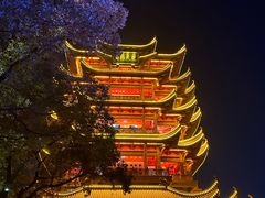 -黄鹤楼公园(黄鹤楼)