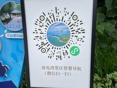 -广东惠东海龟国家级自然保护区