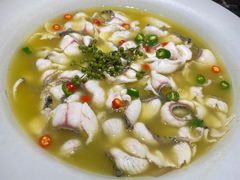 -青花椒花椒鱼(合生汇店)