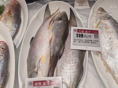 -中国舟山国际水产城