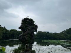 -西湖游船