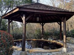 -天目湖涵田半山温泉