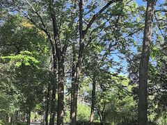 -元大都城垣遗址公园