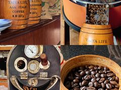 -OLD TREE老树咖啡·西餐厅(台山人工湖店)