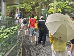 -福道
