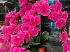 -和记小菜(大宁店)